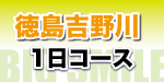 徳島吉野川1日ラフティング詳細へ